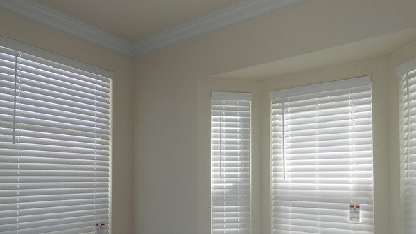 Savoy Nest Tiny Home 1 Bed, 1 Bath - Image 4